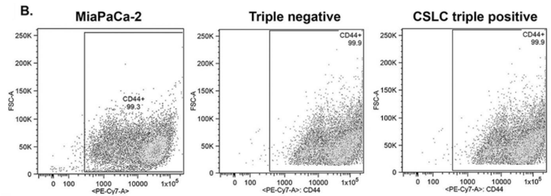 Illustration for article titled The Case Against PubPeer